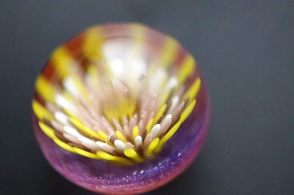 画像2: フラワーマーブル 1 (2)